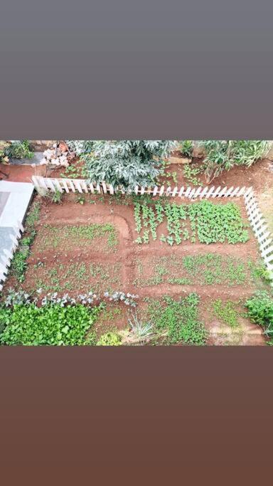 Saifarms Private Farmhouse Between Pune & Lonavala Nethersole Dam Luaran gambar
