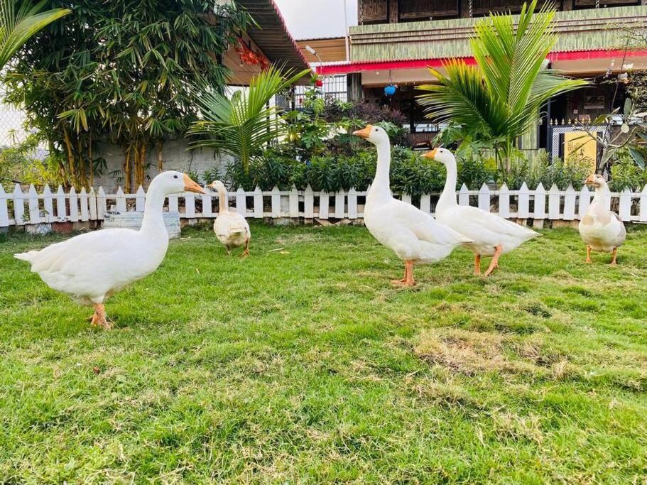 Saifarms Private Farmhouse Between Pune & Lonavala Nethersole Dam Luaran gambar